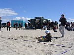 Fehlte wohl nur noch der Aufschlag...
Gre: 600 x 450, 88679 Byte
Urheber: active beach e.V.