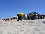 Felix
Gre: 600 x 450, 84116 Byte
Urheber: active beach e.V.