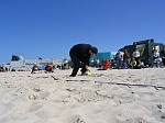 Markuss
Gre: 600 x 450, 85198 Byte
Urheber: active beach e.V.