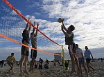 Brauner im Angriff
Gre: 600 x 450, 104302 Byte
Urheber: active beach e.V.
