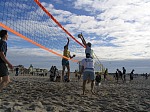 Bulle blockt, Eng sichert
Gre: 600 x 450, 111503 Byte
Urheber: active beach e.V.