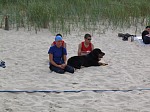 
Gre: 600 x 450, 83953 Byte
Urheber: active beach e.V.