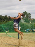 ?
Gre: 450 x 600, 103088 Byte
Urheber: active beach e.V.