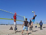 Junior greift an
Gre: 600 x 450, 83476 Byte
Urheber: active beach e.V.