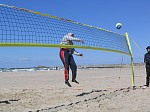 Aus!?
Gre: 600 x 450, 91205 Byte
Urheber: active beach e.V.