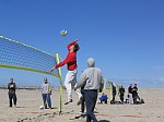 Ambelang/Rieke
Gre: 600 x 450, 75540 Byte
Urheber: active beach e.V.