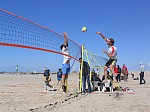 Markus greift an
Gre: 600 x 450, 92365 Byte
Urheber: active beach e.V.