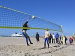 Ins Netz?!
Gre: 600 x 450, 95859 Byte
Urheber: active beach e.V.