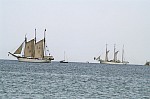 
Gre: 600 x 398, 60135 Byte
Urheber: Daniel Seibt
