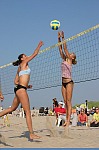 
Gr��e: 398 x 600, 66873 Byte
Urheber: active beach e.V. / Mathias / Janine