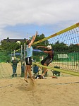 
Gre: 450 x 600, 94871 Byte
Urheber: active beach e.V. / Tobi