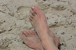 
Gr��e: 600 x 398, 76440 Byte
Urheber: eldenabeach e.V.