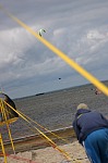 
Gr��e: 398 x 600, 54714 Byte
Urheber: eldenabeach e.V.