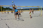 Das aktuelle Top-Bild der VMV-Bildergalerie!