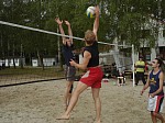 
Gr��e: 600 x 450, 118475 Byte
Urheber: active beach e.V. (Tobi)