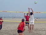 
Gre: 600 x 450, 75937 Byte
Urheber: active beach e.V. / Andrea Bock