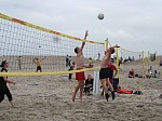 
Gre: 600 x 450, 106233 Byte
Urheber: active beach e.V. / Andrea Bock