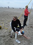 
Gre: 450 x 600, 107313 Byte
Urheber: active beach e.V. / Andrea Bock