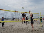 
Gre: 600 x 450, 94623 Byte
Urheber: active beach e.V. / Andrea Bock