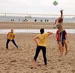 
Gr��e: 600 x 587, 155843 Byte
Urheber: active beach e.V. (Janine Thiel)