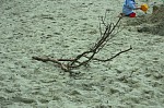 
Gr��e: 600 x 398, 107785 Byte
Urheber: eldenabeach e.V.