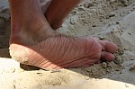 
Gr��e: 600 x 398, 73726 Byte
Urheber: eldenabeach e.V.