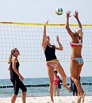 
Gr��e: 539 x 600, 92310 Byte
Urheber: active beach e.V. (Janine Thiel)