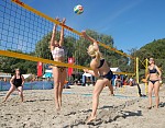 
Gre: 600 x 471, 138247 Byte
Urheber: active beach e.V. (Janine Thiel)