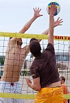 
Gr��e: 410 x 600, 74499 Byte
Urheber: active beach e.V. (Janine)