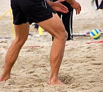 
Gr��e: 600 x 532, 106706 Byte
Urheber: active beach e.V. (Janine)