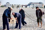
Gr��e: 600 x 398, 112929 Byte
Urheber: active beach e.V. (Janine)
