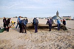 
Gr��e: 600 x 398, 100731 Byte
Urheber: active beach e.V. (Janine)