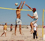 
Gre: 600 x 557, 129068 Byte
Urheber: active beach e.V. (Janine Thiel)