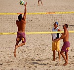 
Gr��e: 600 x 569, 146711 Byte
Urheber: active beach e.V. (Janine Thiel)