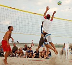 
Gr��e: 600 x 538, 119891 Byte
Urheber: active beach e.V. (Janine Thiel)