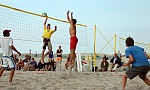 
Gr��e: 600 x 360, 84844 Byte
Urheber: active beach e.V. (Janine Thiel)