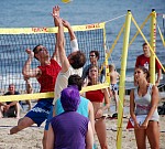 
Gre: 600 x 542, 122665 Byte
Urheber: active beach e.V. (Janine Thiel)