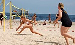 
Gre: 600 x 363, 81571 Byte
Urheber: active beach e.V. (Janine Thiel)