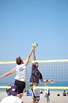 
Gre: 398 x 600, 52409 Byte
Urheber: active beach e.V.