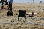
Gre: 600 x 398, 115371 Byte
Urheber: eldenabeach e.V.