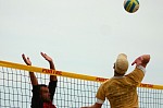 
Gre: 600 x 398, 53372 Byte
Urheber: eldenabeach e.V.