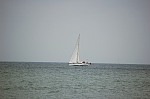 
Gre: 600 x 398, 46954 Byte
Urheber: active beach e.V. (Miri)