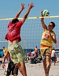 
Gre: 464 x 600, 118083 Byte
Urheber: active beach e.V. (Janine Thiel)