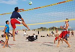 
Gre: 600 x 417, 109011 Byte
Urheber: active beach e.V. (Janine Thiel)
