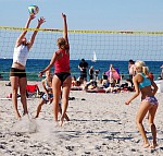 
Gre: 600 x 573, 145087 Byte
Urheber: active beach e.V. (Janine Thiel)