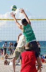 
Gr��e: 384 x 600, 72279 Byte
Urheber: active beach e.V. (Janine Thiel)