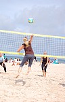 
Gr��e: 384 x 600, 70754 Byte
Urheber: active beach e.V. (Miri)