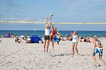 
Gr��e: 600 x 398, 87857 Byte
Urheber: active beach e.V. (Miri)