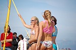 Das aktuelle Top-Bild der VMV-Bildergalerie!