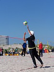 
Gr��e: 450 x 600, 68936 Byte
Urheber: active beach e.V. (Anna)